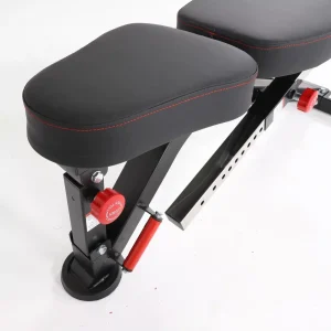 Adjustable Training Bench - Image 4