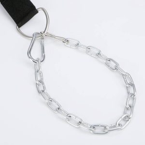 Weight Train Belt - Image 5