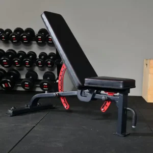Commercial Gym Bench - Image 2