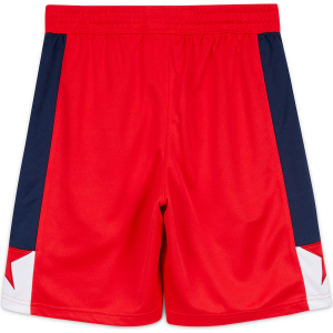 Washington Wizards Nike Icon Swingman Shorts - Mens - Image 2